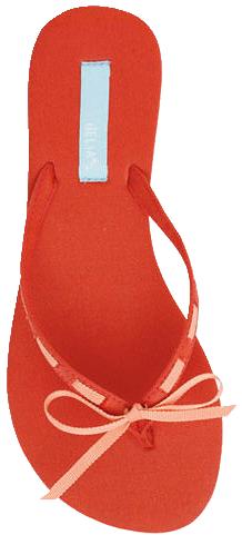flip-flop image